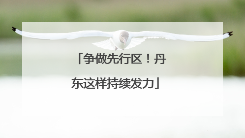 争做先行区！丹东这样持续发力