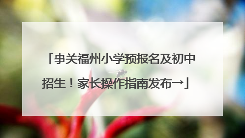 事关福州小学预报名及初中招生！家长操作指南发布→