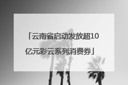 云南省启动发放超10亿元彩云系列消费券