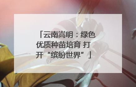 云南嵩明：绿色优质种苗培育 打开“缤纷世界”