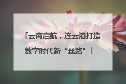 云商启航，连云港打造数字时代新“丝路”