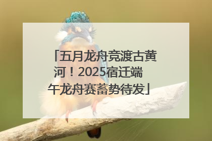 五月龙舟竞渡古黄河！2025宿迁端午龙舟赛蓄势待发