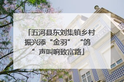 五河县东刘集镇乡村振兴添“金羽” “鸽”声叫响致富路