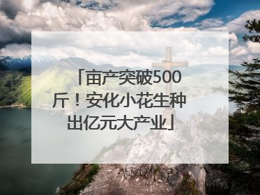 亩产突破500斤！安化小花生种出亿元大产业