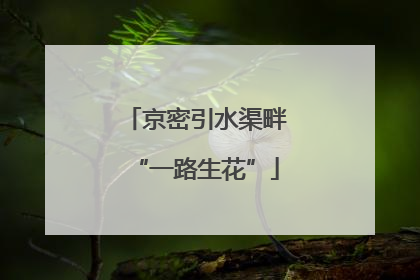 京密引水渠畔“一路生花”