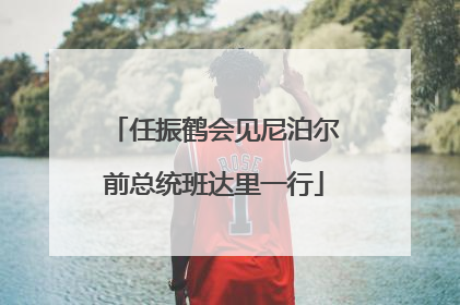 任振鹤会见尼泊尔前总统班达里一行