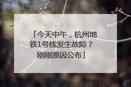 今天中午，杭州地铁1号线发生故障？刚刚原因公布