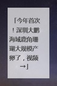 今年首次！深圳大鹏海域鹿角珊瑚大规模产卵了，视频→