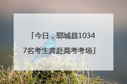 今日，郓城县10347名考生奔赴高考考场