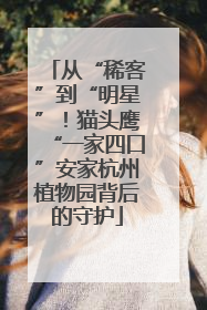 从“稀客”到“明星”！猫头鹰“一家四口”安家杭州植物园背后的守护