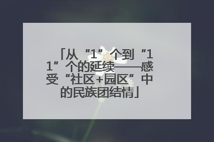 从“1”个到“11”个的延续——感受“社区+园区”中的民族团结情