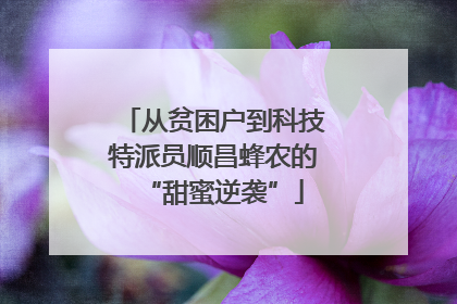 从贫困户到科技特派员顺昌蜂农的“甜蜜逆袭”