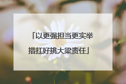 以更强担当更实举措扛好挑大梁责任