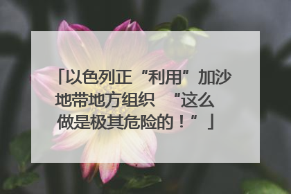 以色列正“利用”加沙地带地方组织  “这么做是极其危险的！”