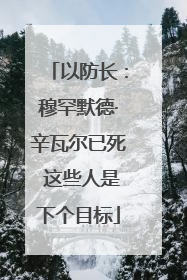 以防长：穆罕默德·辛瓦尔已死 这些人是下个目标