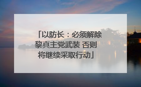 以防长：必须解除黎真主党武装 否则将继续采取行动