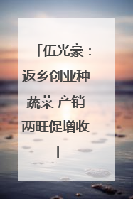 伍光豪：返乡创业种蔬菜 产销两旺促增收