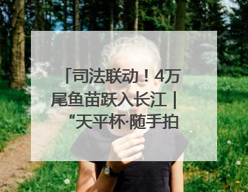 司法联动！4万尾鱼苗跃入长江｜“天平杯·随手拍”作品展播
