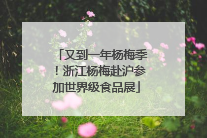 又到一年杨梅季！浙江杨梅赴沪参加世界级食品展