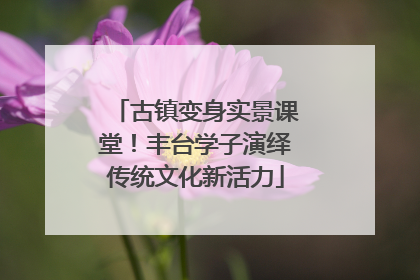 古镇变身实景课堂！丰台学子演绎传统文化新活力