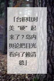 台积电对美“硬”起来了？岛内舆论把目光看向了赖清德