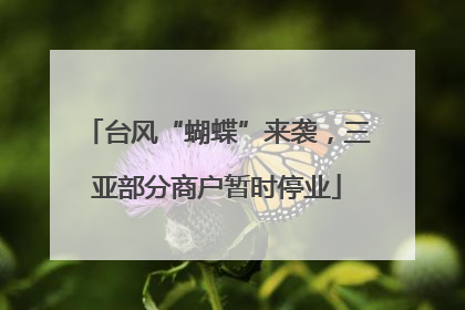 台风“蝴蝶”来袭，三亚部分商户暂时停业