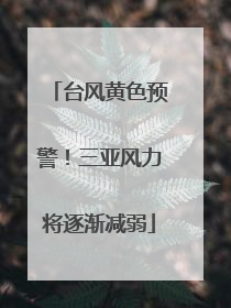 台风黄色预警！三亚风力将逐渐减弱