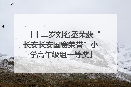 十二岁刘名丞荣获“长安长安国赛荣誉”小学高年级组一等奖