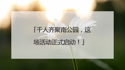 千人齐聚南公园，这场活动正式启动！