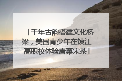 千年古韵搭建文化桥梁，美国青少年在镇江高职校体验唐菓宋茶