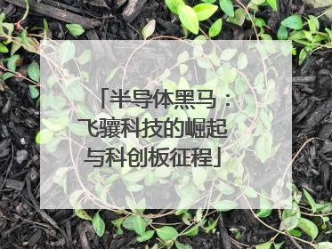 半导体黑马：飞骧科技的崛起与科创板征程