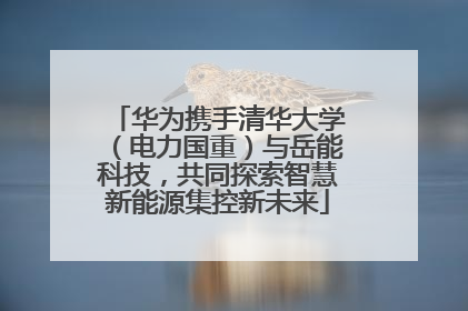 华为携手清华大学（电力国重）与岳能科技，共同探索智慧新能源集控新未来