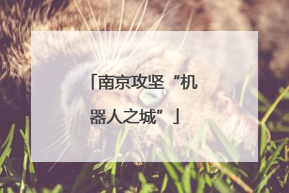 南京攻坚“机器人之城”