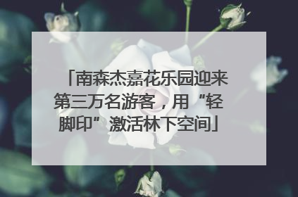 南森杰嘉花乐园迎来第三万名游客，用“轻脚印”激活林下空间