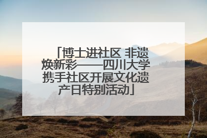 博士进社区 非遗焕新彩——四川大学携手社区开展文化遗产日特别活动