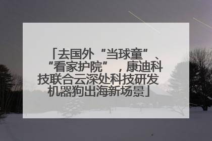 去国外“当球童”、“看家护院”，康迪科技联合云深处科技研发机器狗出海新场景