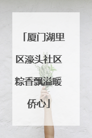 厦门湖里区濠头社区粽香飘溢暖侨心