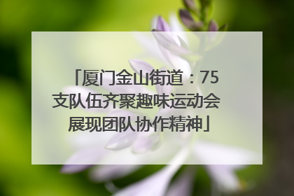 厦门金山街道：75支队伍齐聚趣味运动会 展现团队协作精神