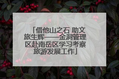 借他山之石 助文旅生辉——金洞管理区赴南岳区学习考察旅游发展工作