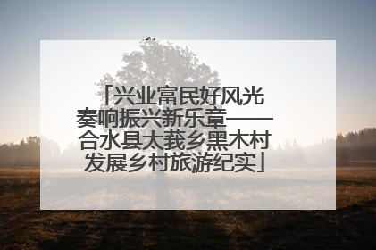兴业富民好风光 奏响振兴新乐章——合水县太莪乡黑木村发展乡村旅游纪实