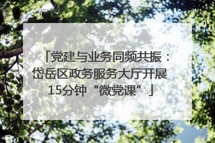 党建与业务同频共振：岱岳区政务服务大厅开展15分钟“微党课”
