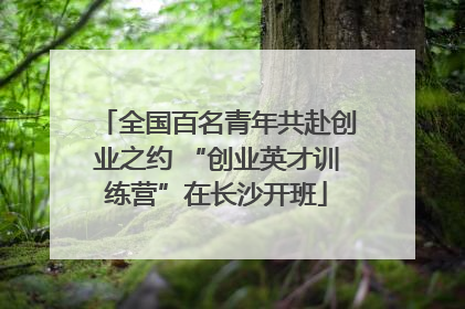 全国百名青年共赴创业之约 “创业英才训练营”在长沙开班