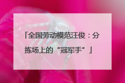 全国劳动模范汪俊：分拣场上的“冠军手”