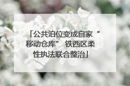 公共泊位变成自家“移动仓库” 铁西区柔性执法联合整治