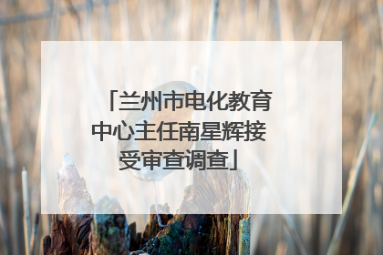 兰州市电化教育中心主任南星辉接受审查调查