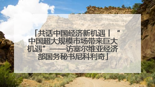 共话中国经济新机遇丨“中国超大规模市场带来巨大机遇”——访塞尔维亚经济部国务秘书尼科利奇