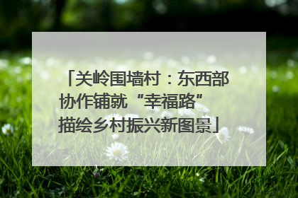 关岭围墙村：东西部协作铺就“幸福路” 描绘乡村振兴新图景