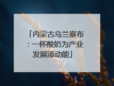 内蒙古乌兰察布：一杯酸奶为产业发展添动能