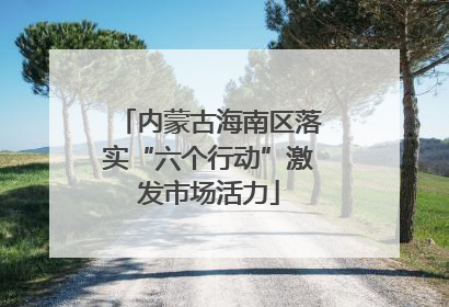 内蒙古海南区落实“六个行动”激发市场活力