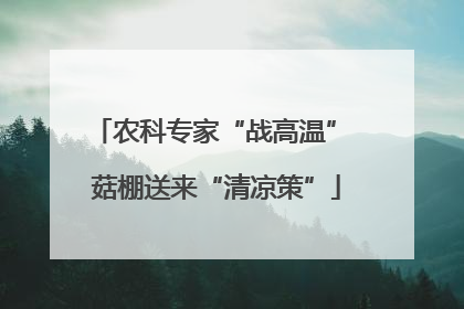 农科专家“战高温” 菇棚送来“清凉策”